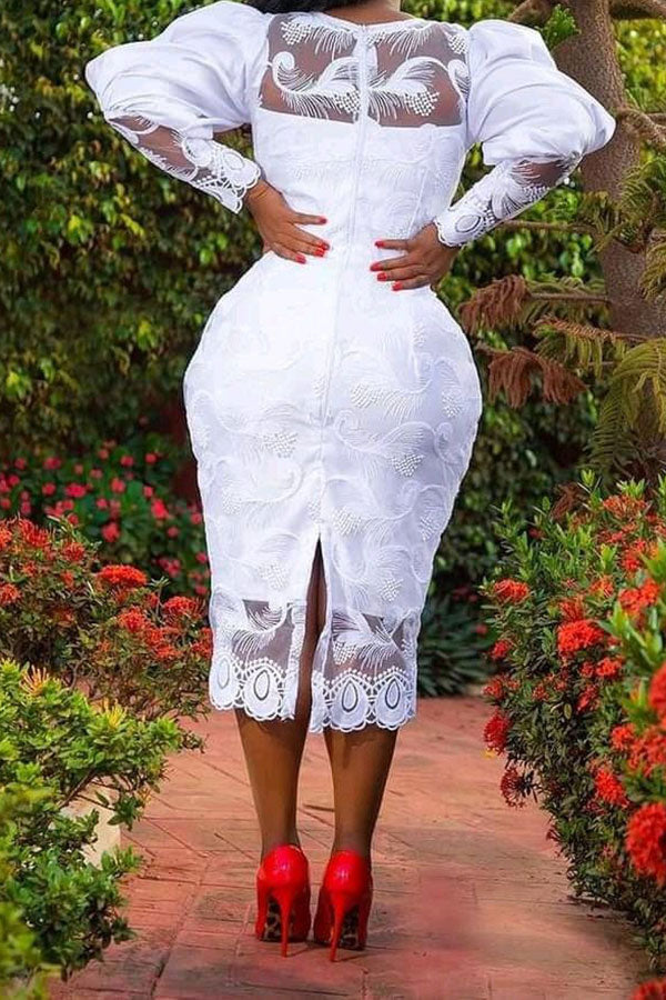 Lace Feminine Zip Through Midi Dress