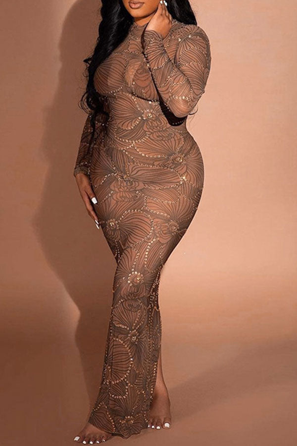 Rhinestone Trim Flower Print Funky See-Through Maxi Dress